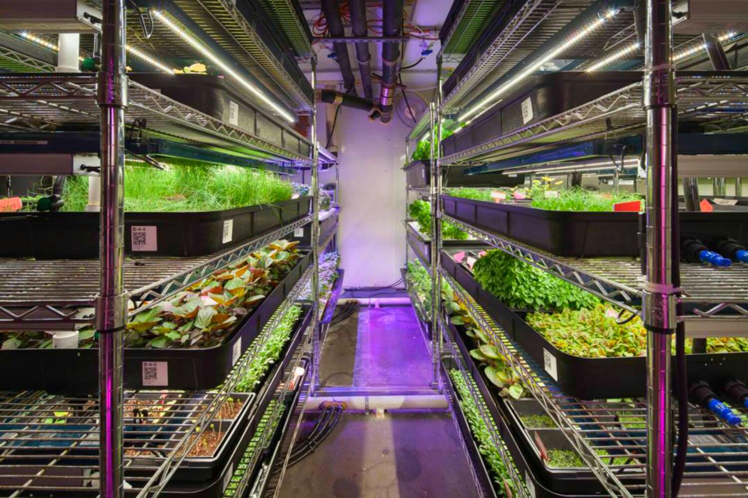 FarmOne11-scaled Hype um urbane Landwirtschaft: Der Milliardenmarkt der Zukunft