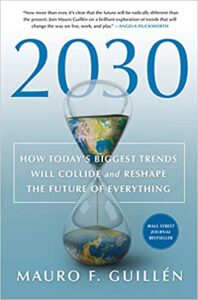 Buch-198x300 Zukunft 2030: Strategien gegen den schwarzen Schwan