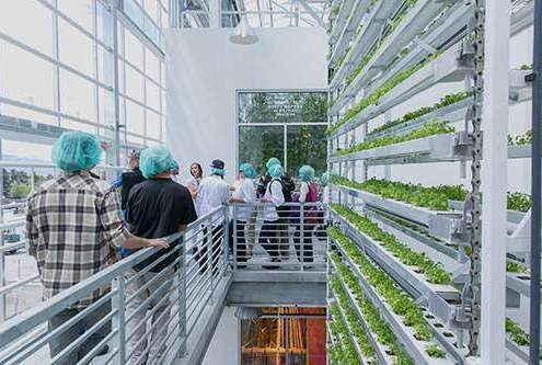 Jackson-Greenhouse-Tour-495x333 Aktuell