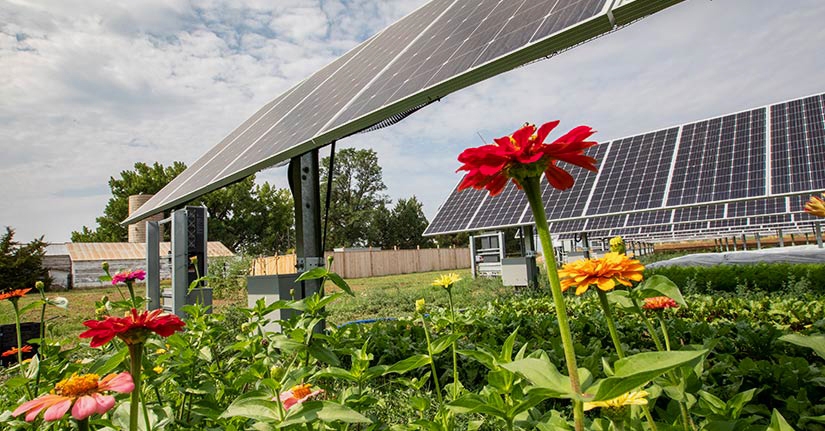 NREL Agri-Photovoltaik: Mehr Power für die Landwirtschaft