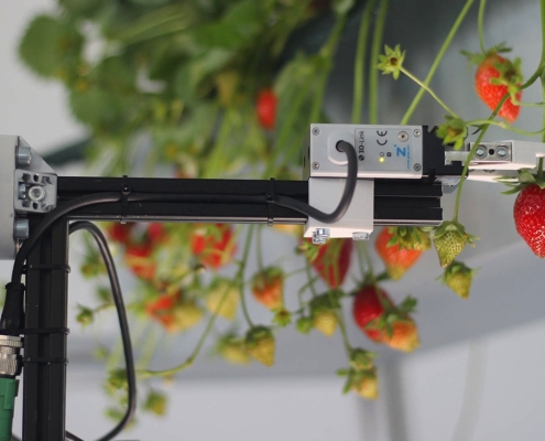 Organifarms-Ernteroboter-1-495x400 Digitalisierung