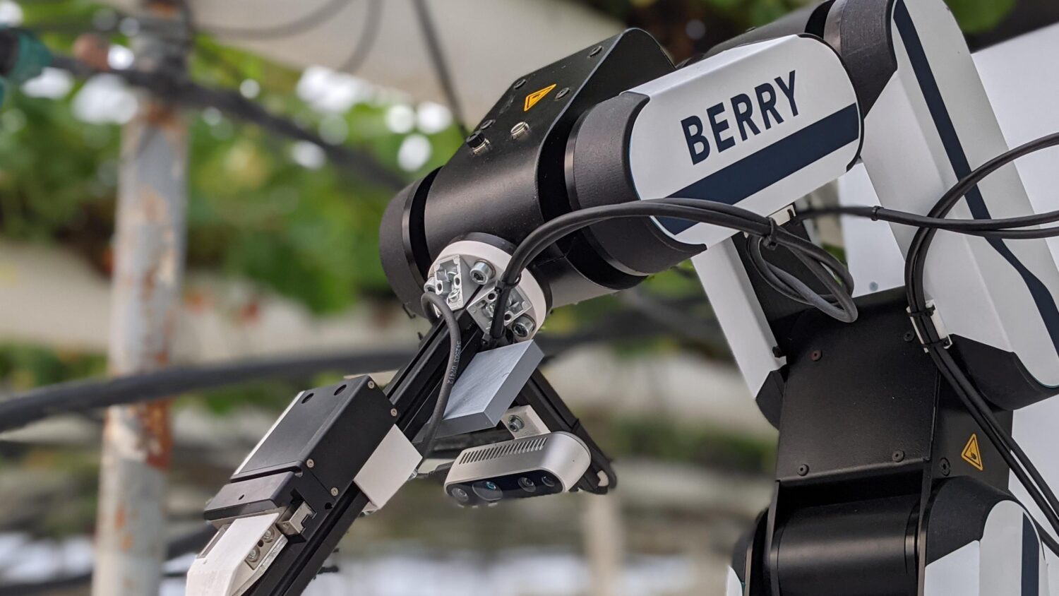 Roboter-BERRY-scaled Organifarms: Ernteroboter Berry erobert die urbane Landwirtschaft