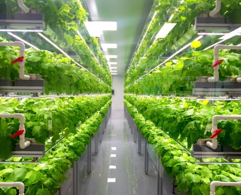 Crop-One-vertical-farming-495x400 Nachhaltigkeit
