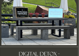 Ein-LinkedIn-Post-zu-Digital-Detox-small-260x185 Nachhaltigkeit