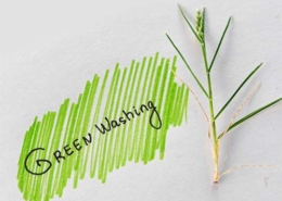 Greenwashing_small-260x185 Nachhaltigkeit