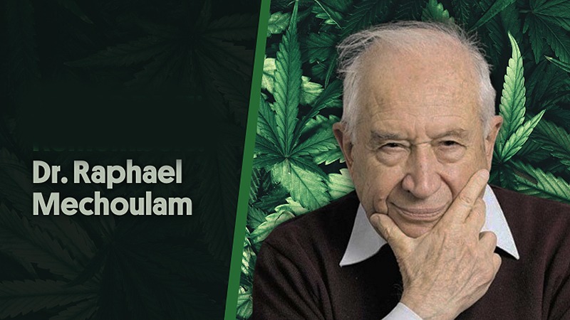Raphael-Mechoulam Cannabis als Chance für Unternehmen
