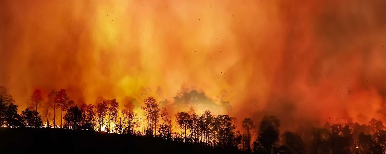 Klimawandel-1 Wir Babyboomer