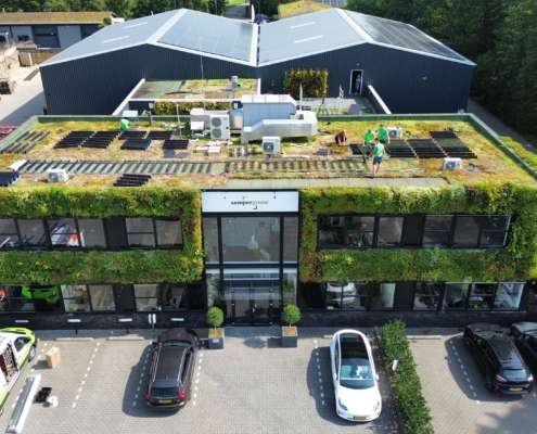 Sempergreen-HQ_installation-OES-495x400 Aktuell