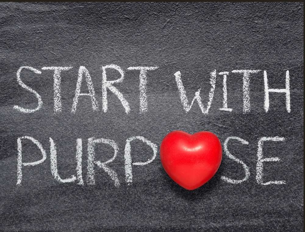 Purpose Warum wir einen Sinn brauchen
