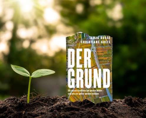 Der-Grund_small-495x400 Buchtipps