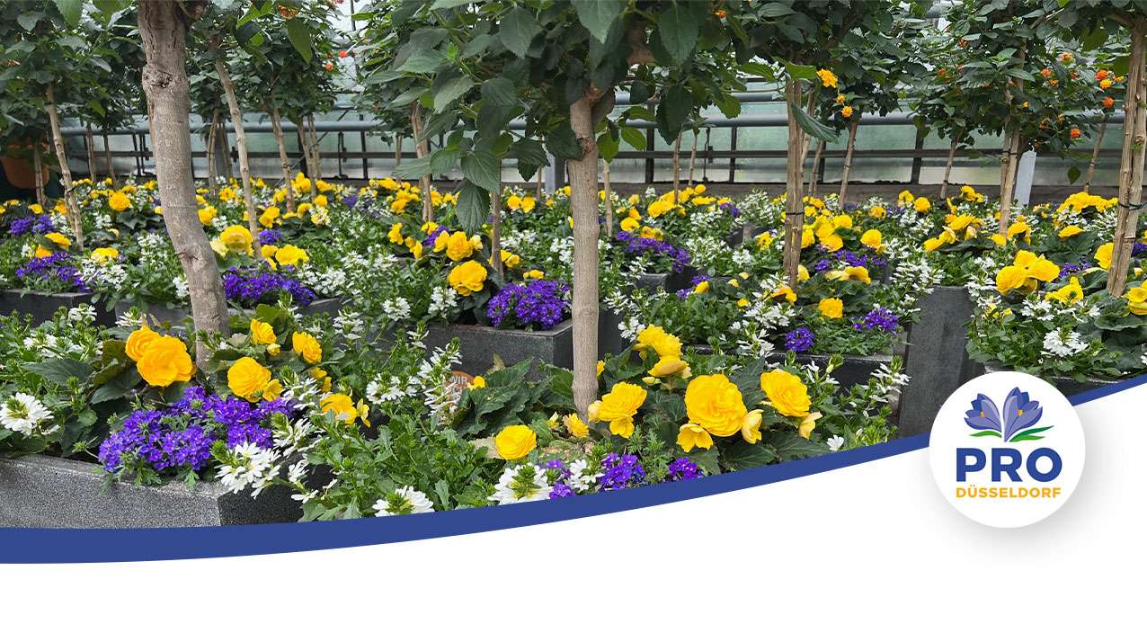 ProDuesseldorf_swoosh_blumenoase ZukunftsMacher Pro Düsseldorf