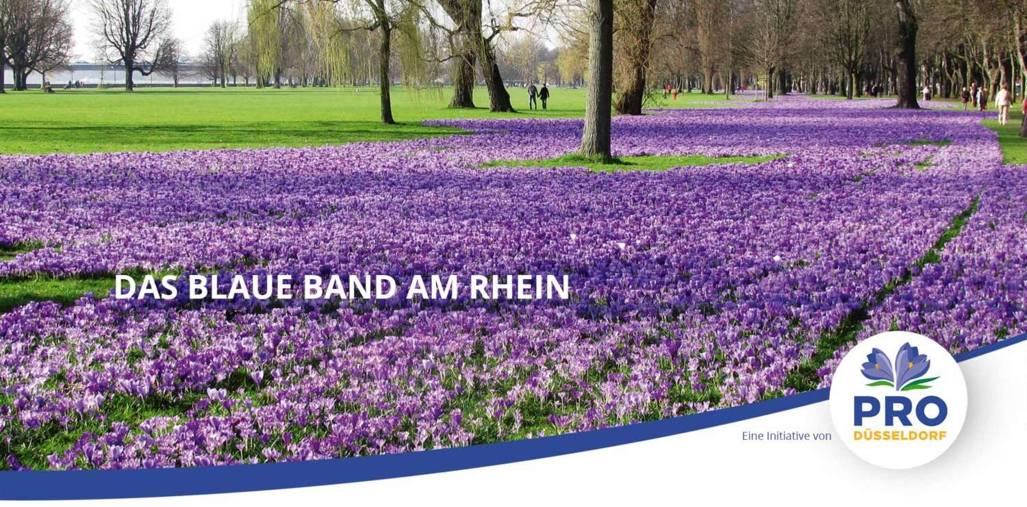 das-blaue-band-am-rhein-3-1500x741 ZukunftsMacher Pro Düsseldorf