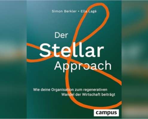 Der-Stellar_-Approach-495x400 Buchtipps