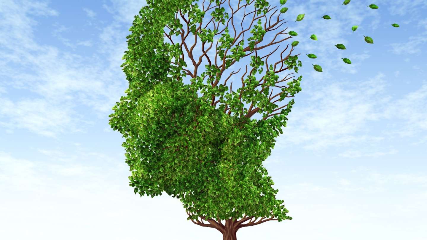 Erinnerungen Erinnerungen: Prägend für die Zukunft