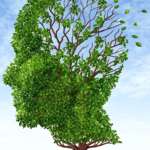 Erinnerungen: Prägend für die Zukunft Kopie von Kopie von Kopie von Kopie von Kopie von Kopie von Mark