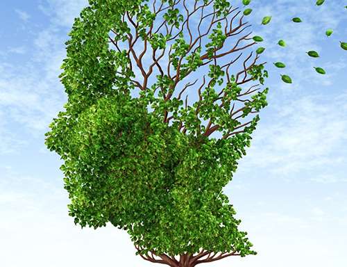 Erinnerungen: Prägend für die Zukunft Erinnerungen: Prägend für die Zukunft