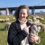 Der Schatz der Region: Wolle mit Herkunft, Herz und Haltung Frieda Feld