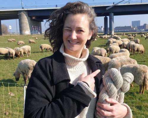 Der Schatz der Region: Wolle mit Herkunft, Herz und Haltung