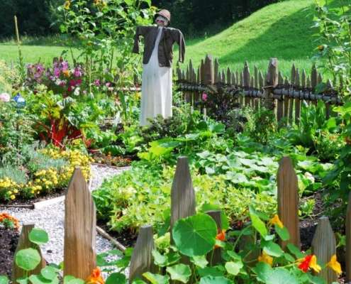 Bauerngarten-III-495x400 Nachhaltigkeit