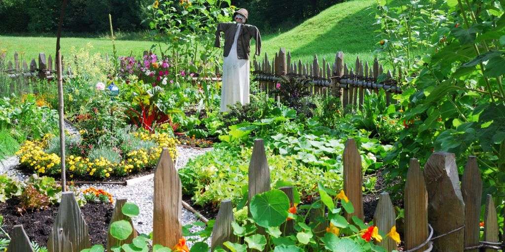 Bauerngarten-III Zurück zur Natur: Bauerngärten liegen im Trend