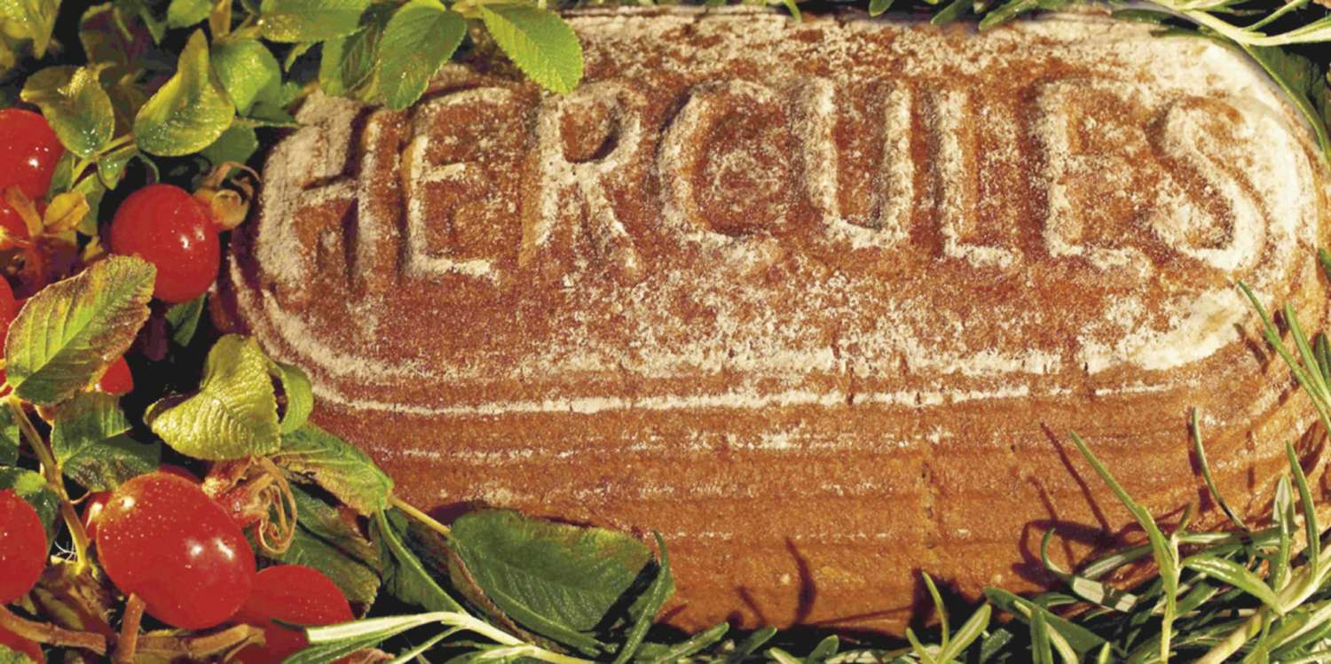 Hercules-Brot-scaled ZukunftsMacher Johannes Dackweiler