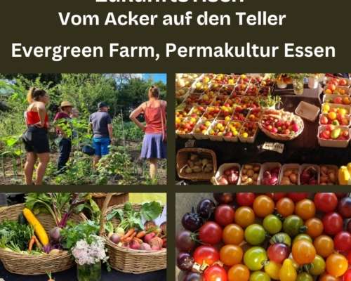 ZukunftsTisch: Vom Acker auf den Teller | 24. Juni 2026, Essen ZukunftsTisch: Vom Acker auf den Teller | 24. Juni 2026, Essen