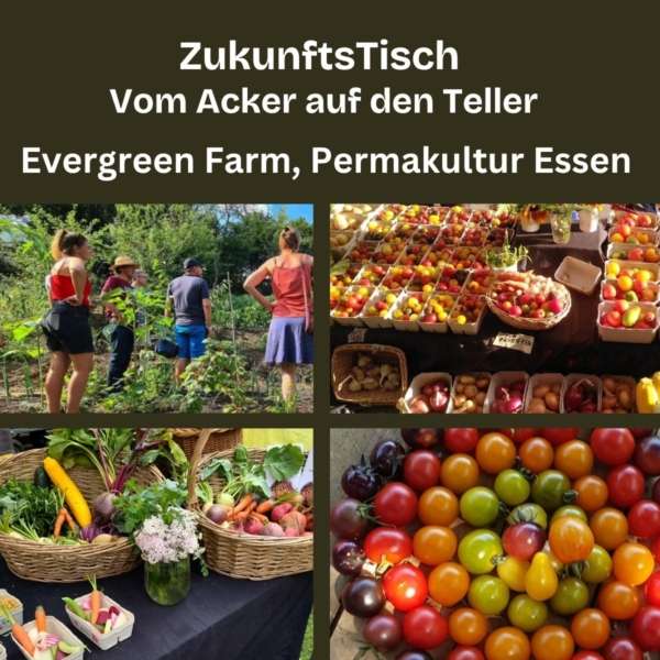 ZukunftsTisch-Evergreen-Farm-600x600 ZukunftsTisch: Vom Acker auf den Teller | 24. Juni 2026, Essen